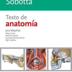Sobotta. Texto de Anatomia