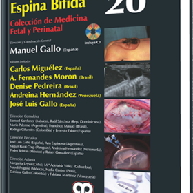Gallo # 20 Espina Bífida