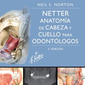 Norton Netter – Anatomía de cabeza y cuello para odontólogos