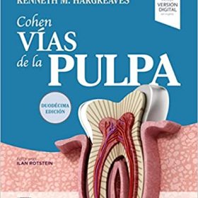 Berman – Cohen. Vías de la Pulpa