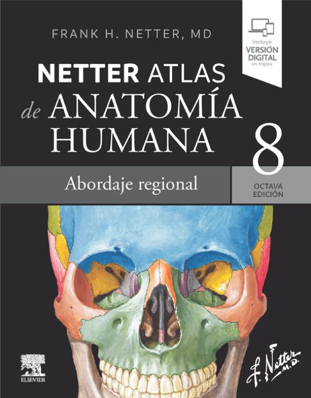 Atlas de anatomía humana. Abordaje regional – Netter