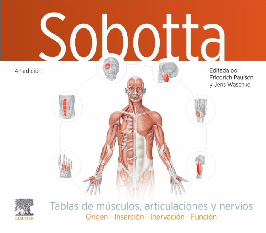Sobotta. Tablas de músculos, articulaciones y nervios – Paulsen