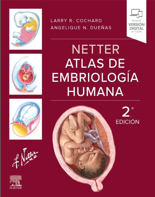 Netter Atlas de embriología humana – Cochard
