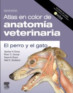 Atlas en color de anatomía veterinaria. El perro y del gato – Done