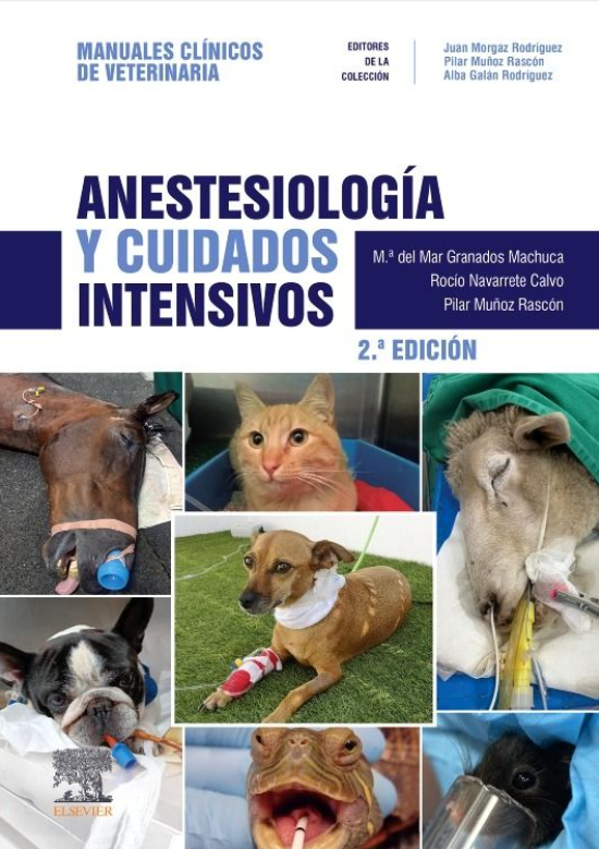 Anestesiología y cuidados intensivos – Morgaz