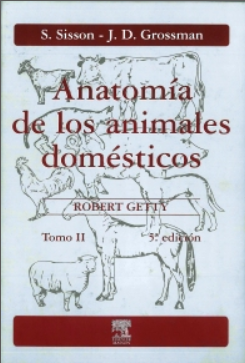 Anatomía de los animales domésticos. Tomo II – Sisson