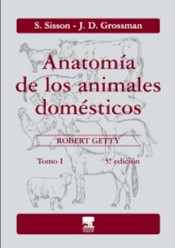 Anatomía de los animales domésticos. Tomo I – Sisson