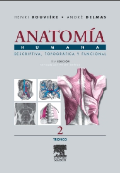 Anatomía Humana Descriptiva, topográfica y funcional. Tomo 2. Tronco – Rouviere